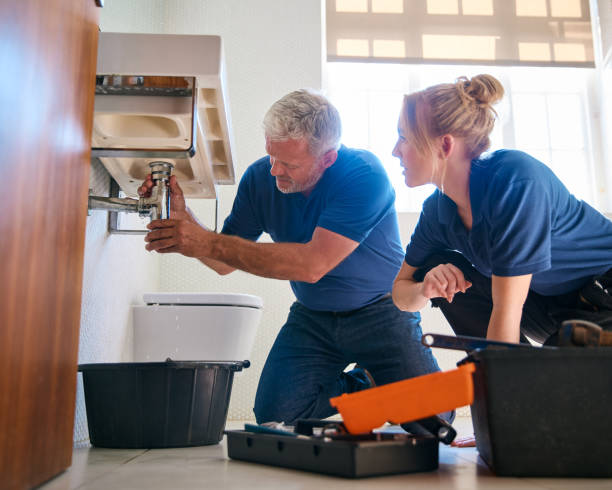 Best Commercial Plumbing Services  in Durant, IA
